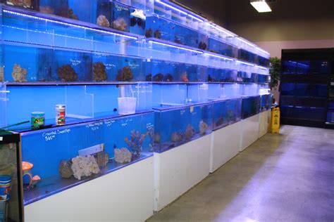 Just Fish Aquarium, pet shop & Pet clinic
